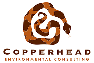 Copperhead Logo